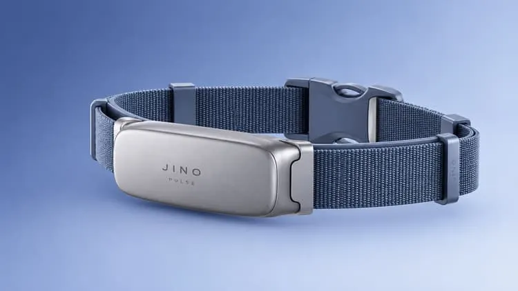 JINO Pulse